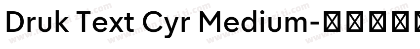 Druk Text Cyr Medium字体转换